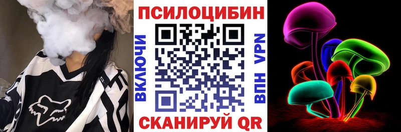 дарнет шоп  Борисоглебск  Псилоцибиновые грибы MAGIC MUSHROOMS 