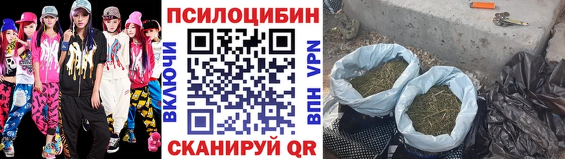 Галлюциногенные грибы MAGIC MUSHROOMS Борисоглебск
